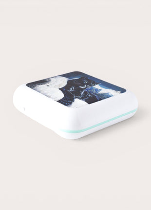 Northern Monarch Pill Box