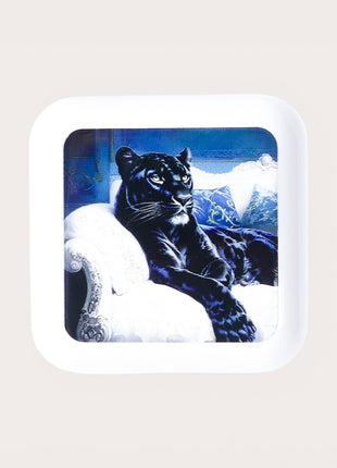 Northern Monarch Pill Box
