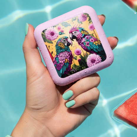 Carnival Pill Box
